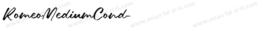 RomeoMediumCond字体转换