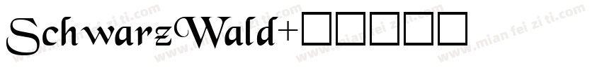 SchwarzWald字体转换