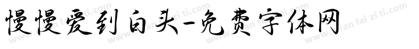 慢慢爱到白头字体转换