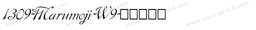 1309-Marumoji-W9字体转换