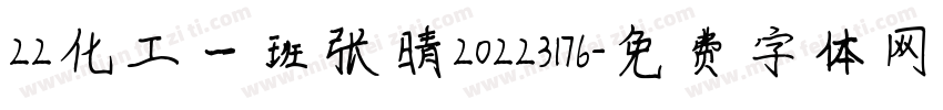 22化工一班张晴20223176字体转换