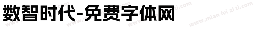 数智时代字体转换