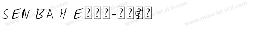 SENBAHE森巴赫字体转换