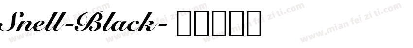Snell-Black字体转换