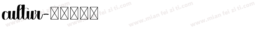 cultur字体转换