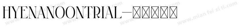 HyenaNoonTRIAL字体转换