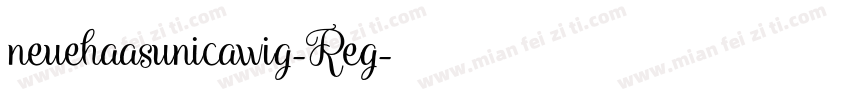 neuehaasunicawig-Reg字体转换