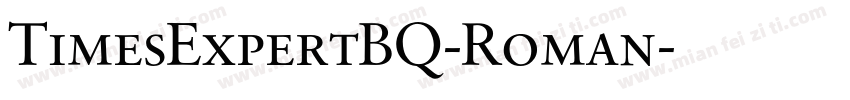 TimesExpertBQ-Roman字体转换
