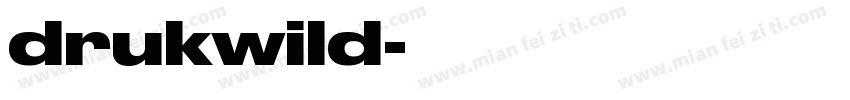 drukwild字体转换