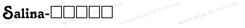 Salina字体转换