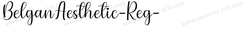 BelganAesthetic-Reg字体转换