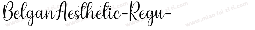 BelganAesthetic-Regu字体转换