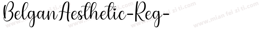 BelganAesthetic-Reg字体转换