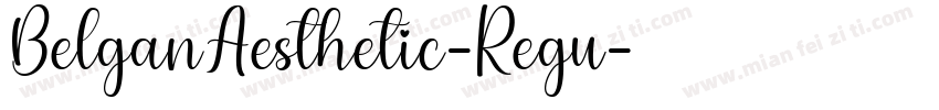 BelganAesthetic-Regu字体转换