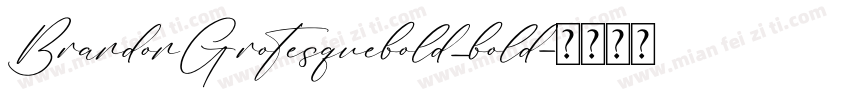 BrandonGrotesquebold_bold字体转换