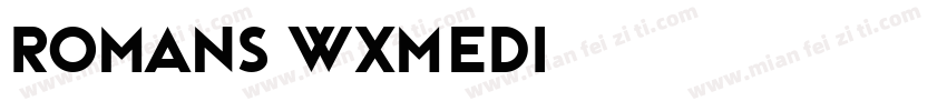 romans_wxmedi字体转换