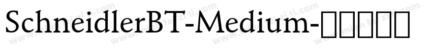 SchneidlerBT-Medium字体转换