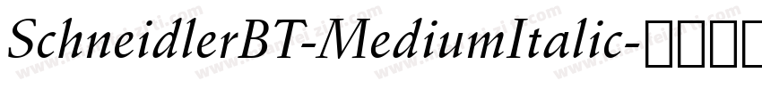 SchneidlerBT-MediumItalic字体转换