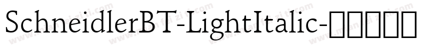 SchneidlerBT-LightItalic字体转换