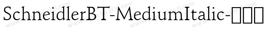 SchneidlerBT-MediumItalic字体转换