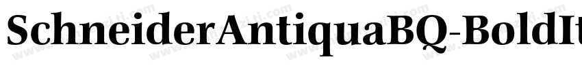 SchneiderAntiquaBQ-BoldItalic字体转换