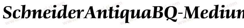 SchneiderAntiquaBQ-MediumItalic字体转换