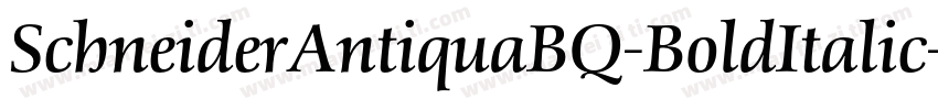 SchneiderAntiquaBQ-BoldItalic字体转换