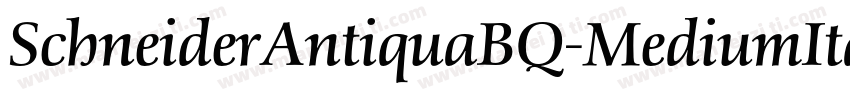 SchneiderAntiquaBQ-MediumItalic字体转换