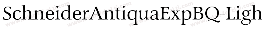 SchneiderAntiquaExpBQ-LightItalic字体转换