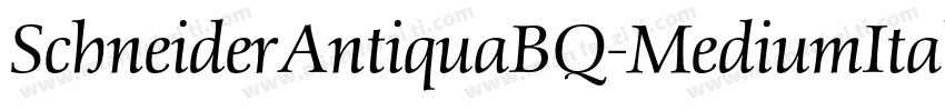 SchneiderAntiquaBQ-MediumItalic字体转换