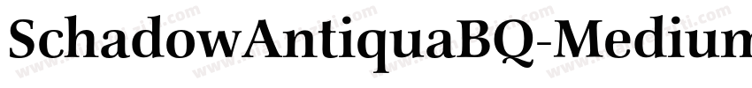 SchadowAntiquaBQ-Medium字体转换