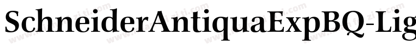 SchneiderAntiquaExpBQ-Light字体转换