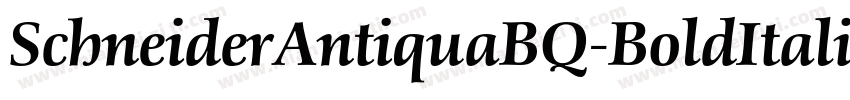SchneiderAntiquaBQ-BoldItalic字体转换