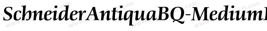 SchneiderAntiquaBQ-MediumItalic字体转换