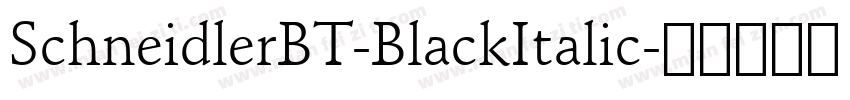 SchneidlerBT-BlackItalic字体转换