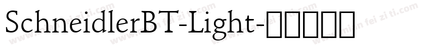 SchneidlerBT-Light字体转换