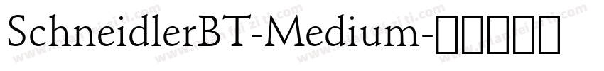 SchneidlerBT-Medium字体转换