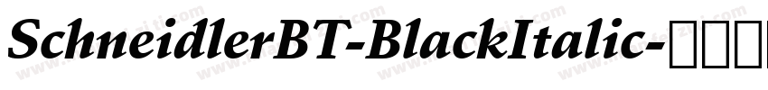 SchneidlerBT-BlackItalic字体转换