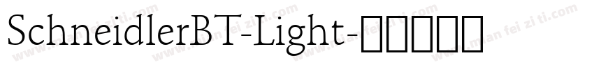 SchneidlerBT-Light字体转换