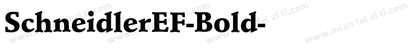 SchneidlerEF-Bold字体转换