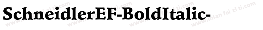 SchneidlerEF-BoldItalic字体转换