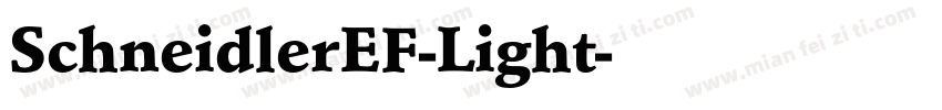 SchneidlerEF-Light字体转换