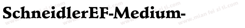 SchneidlerEF-Medium字体转换