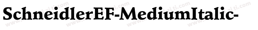 SchneidlerEF-MediumItalic字体转换