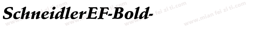 SchneidlerEF-Bold字体转换