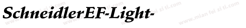 SchneidlerEF-Light字体转换