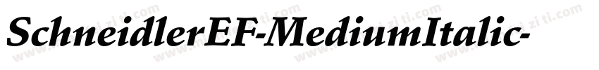 SchneidlerEF-MediumItalic字体转换