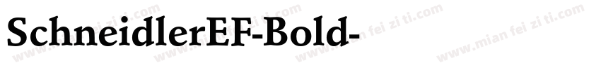 SchneidlerEF-Bold字体转换