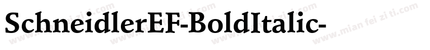 SchneidlerEF-BoldItalic字体转换