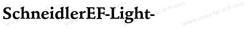 SchneidlerEF-Light字体转换